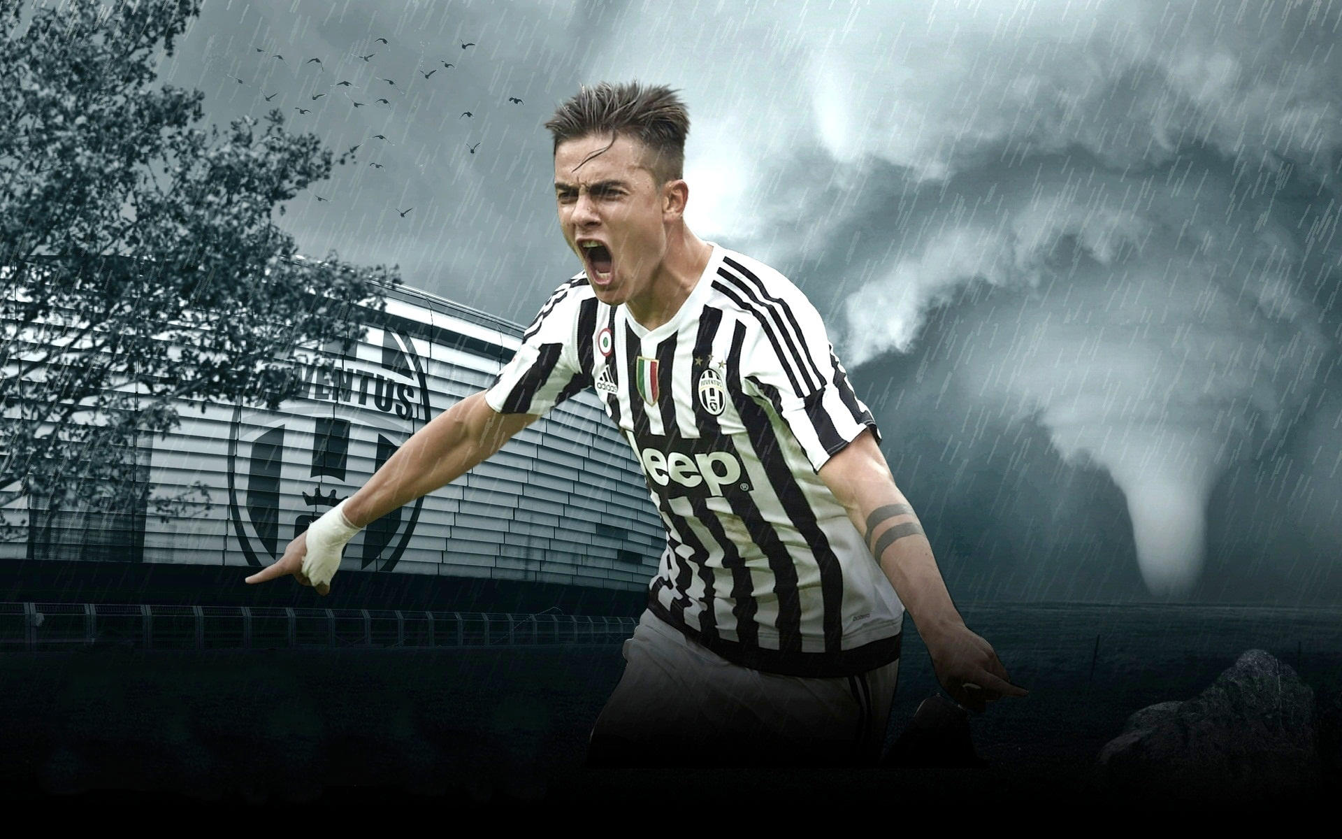 就会被模仿 就会被模仿